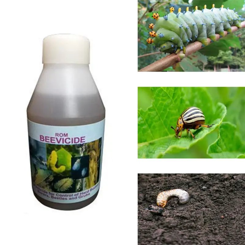 ROM Beauveria bassiana, for the control of hard bodied insects-Liquid